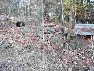 29 Pine Glen Rd, Hillsborough, NH 03244 - photo 5