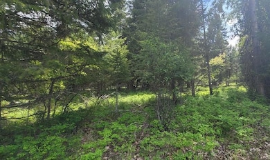 Tbd, Lot 5 Parmenter Dr, Libby, MT 59923 - photo 4
