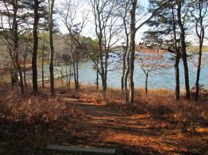 324 Clamshell Cove Rd, Cotuit, MA 2635 - photo 5