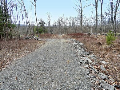 Lot #108 Blue Heron Way, Hawley, PA 18428 - photo 3