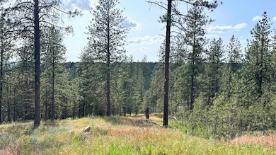 NKA Lower Weaver Lots A B C Way, Deer Park, WA 99006 - photo 3