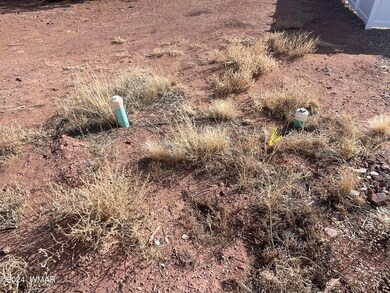 Lot 10 W Arrowhead Rd, Snowflake, AZ 85937 - photo 5