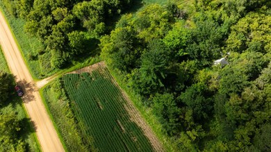 Lot 2 280th St, Glenwood City, WI 54013 - photo 5