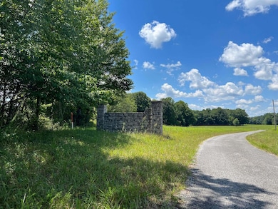 138 Dockery Rd, Russell Springs, KY 42642 - photo 2