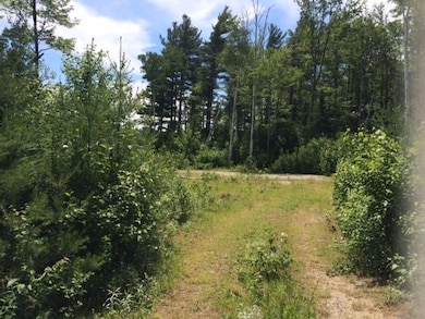 0 Notchway Dr, Franconia, NH 03580 - photo 2