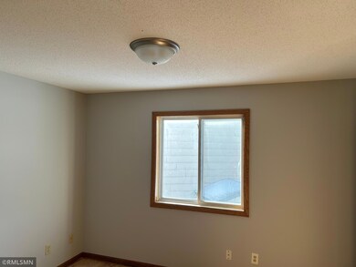 6420 Starlite Cir NE, Minneapolis, MN 55432 - photo 6
