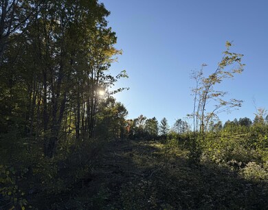 ON S Newman Lake Rd, Fifield, WI 54552 - photo 3