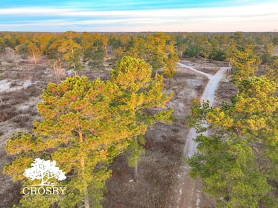 0 Reverend Jw Carter Rd, Manning, SC 29102 - photo 7