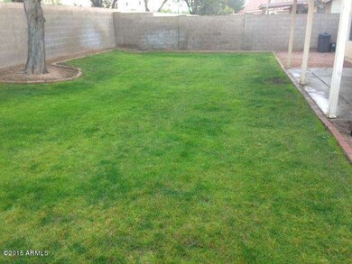 Grass Rear Yard