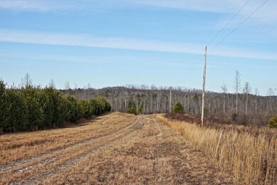 Western Boundary