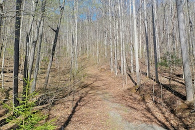1,2 & 3 Top Drop Ln, Sylva, NC 28779 - photo 2