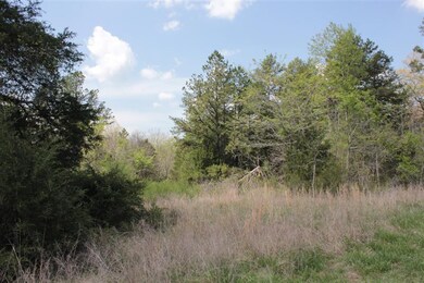 Clearing on lot