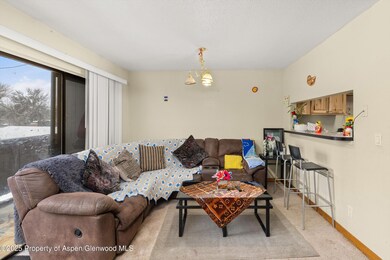 1527 Blake Ave unit 207, Glenwood Springs, CO 81601 - photo 3