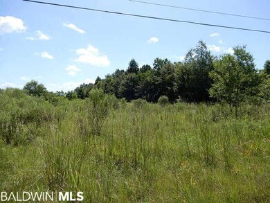 12 Old Ship Cir, Atmore, AL 36502 - photo 5