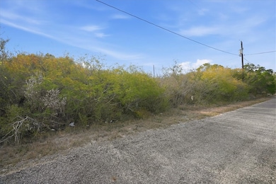 00 Huajilla Bend Rd, Sandia, TX 78383 - photo 3