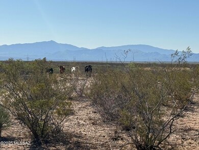 1268 E Cougar Trail unit 123, St. David, AZ 85630 - photo 4