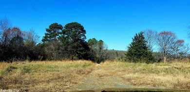 0 Webb Hill unit 21004456, McRae, AR 72102 - photo 5