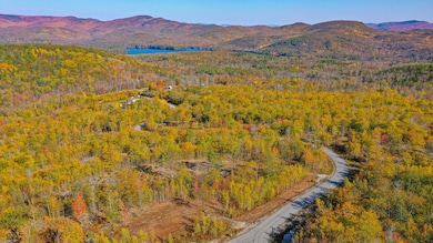 Lot 2 Mine Rd, Stoneham, ME 04231 - photo 5