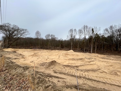 5658 Bauman Rd, Battle Creek, MI 49017 - photo 6