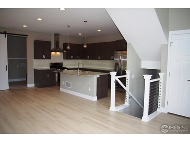 386 Cajetan St, Fort Collins, CO 80524 - photo 4