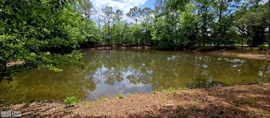 1718 Robbins Bridge Rd, Bonifay, FL 32425 - photo 4