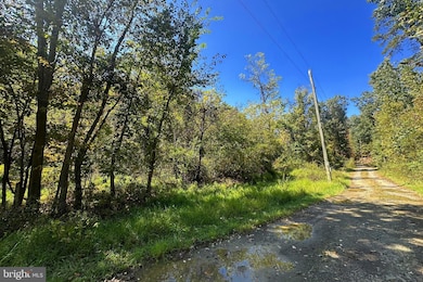 Lots 3 & 4 Shale Pit Dr, Falling Waters, WV 25419 - photo 4