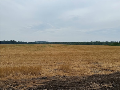 Lot 4 Taylor Rd, Honeoye Falls, NY 14472 - photo 4