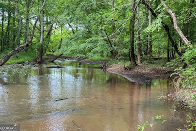 102 +/- ACRES - Old Zebulon Rd, Molena, GA 30258 - photo 5