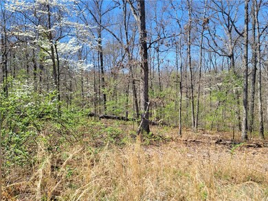 0 Ayton Ln unit 1271975, Bella Vista, AR 72714 - photo 4