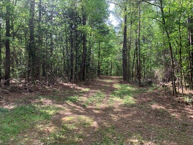 2190 Ernest A Thompson Rd, Ruth, MS 39662 - photo 2