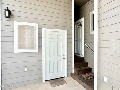 SHED ENTRY DOOR