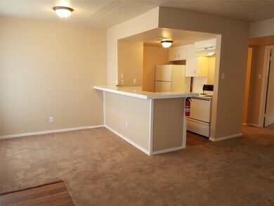 601 E 7th St unit 11, Houston, TX 77007 - photo 3