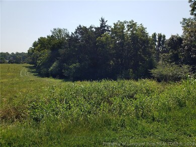 593 Howard Gilliland Rd, Siler City, NC 27344 - photo 4