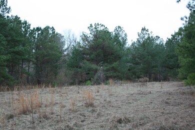 00 Highway 378, Lincolnton, GA 30817 - photo 4