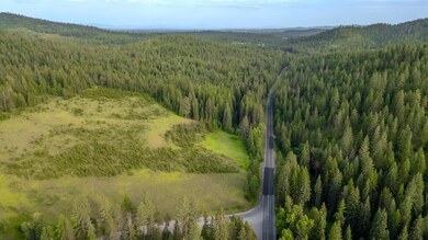 00 Buck Creek Rd, Loon Lake, WA 99148 - photo 6