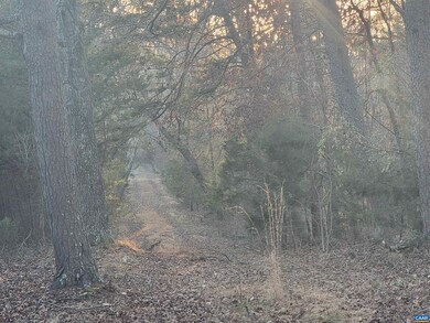 0 Marchia Ln unit 31C 645648, Charlottesville, VA 22902 - photo 2