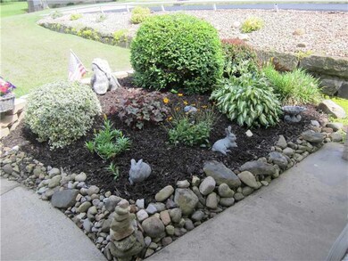 Yard/Garden.