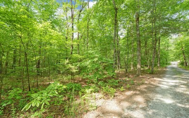 Additional View