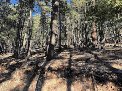 0 Forest View Rd unit 171893, Cloudcroft, NM 88317 - photo 4