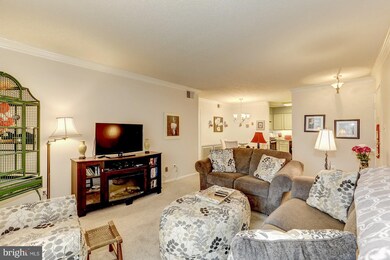 3123 Patrick Henry Dr unit 322, Falls Church, VA 22044 - photo 6