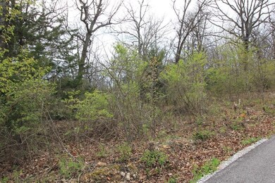 Lot 4 Harris Rd, Lowell, AR 72745 - photo 3