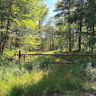 Doe Run Rd unit LotWP001, Galeton, PA 16922 - photo 4