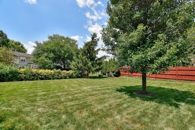 7626 Cypress Point Dr-yard
