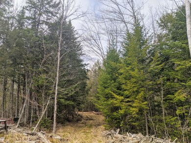 0 State Park Rd unit 1490059, Dover-Foxcroft, ME 04426 - photo 2