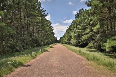 0 Grant Rd unit 96956750, Cypress, TX 77429 - photo 2
