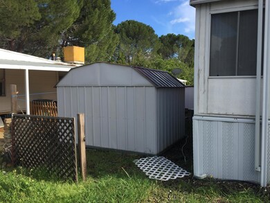 585 Mt Shadows Shed