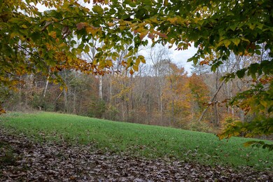 MLS NB Land Tract-11