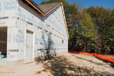 229 Telluride Ct, Aberdeen, NC 28315 - photo 4