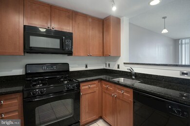 The Crescent unit 1102, Silver Spring, MD 20910 - photo 6