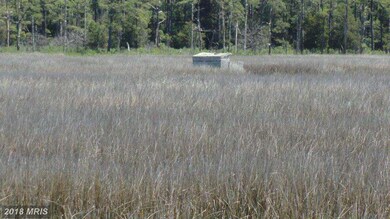 1807 Crocheron Rd, Toddville, MD 21672 - photo 4